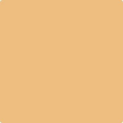 166: Orange Ice  by Benjamin Moore