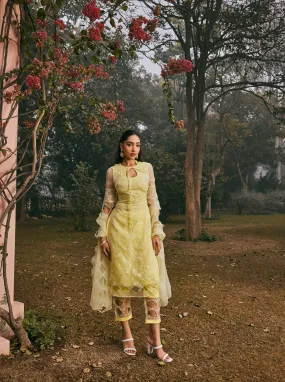 Mazneen Yellow Organza Kurta Set